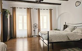 Central Cozy House Sibiu